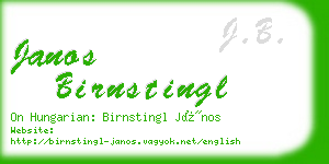 janos birnstingl business card